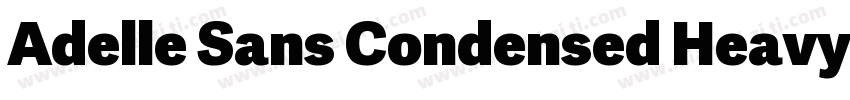 Adelle Sans Condensed Heavy字体转换